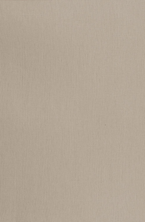 Tissu au mètre : Lin lourd Linda