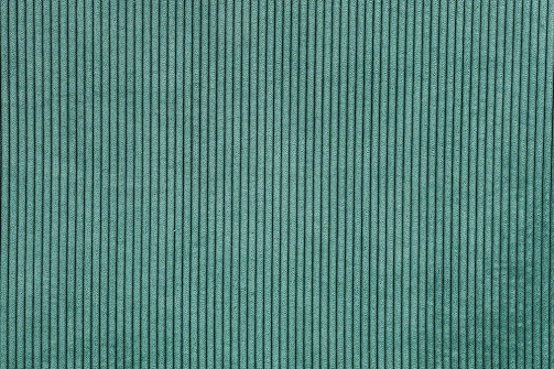 COL 85 - Vert canard